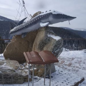 Jenisej - Pomnik Jesiotra